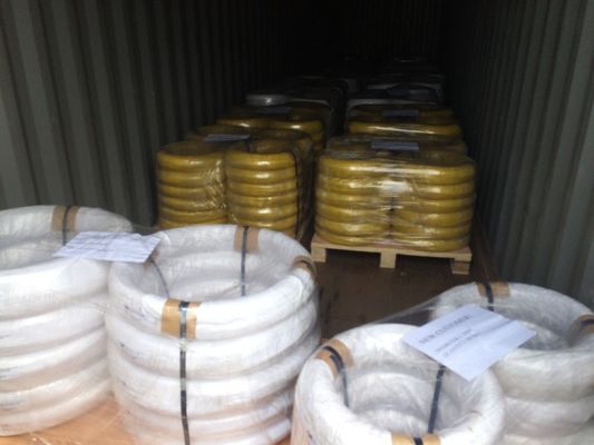 TOPONE Custom high-Quality SUS 304 Stainless Steel Spring wire for torsion spring