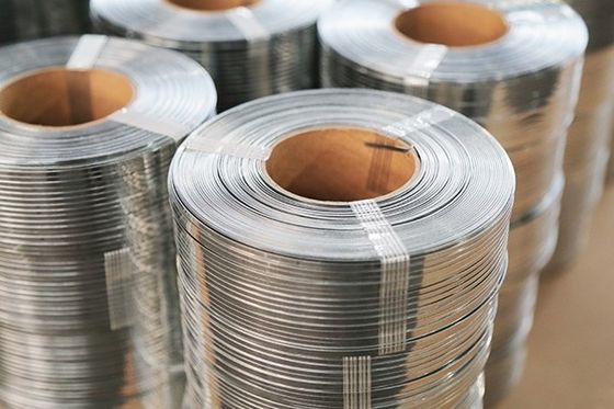 Triangular Stainless Steel Wire 1.0x2.0mm AISI304 Profile V Wire