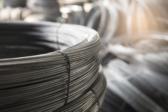 10 Gauge stainless steel wire