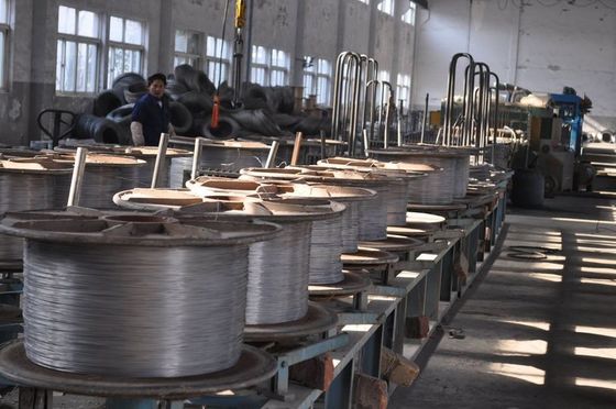 Skin Passed 304Cu Screw Wire For Heavy Duty Stainless Steel Applications