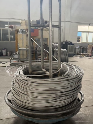 5mm 302 Stainless Steel Spring Wire