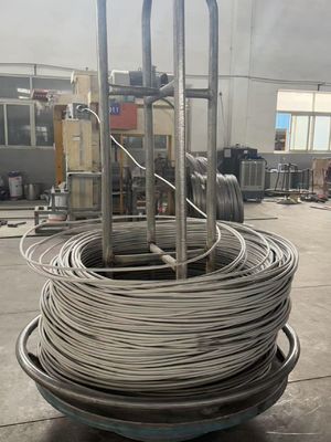 5mm 302 Stainless Steel Spring Wire
